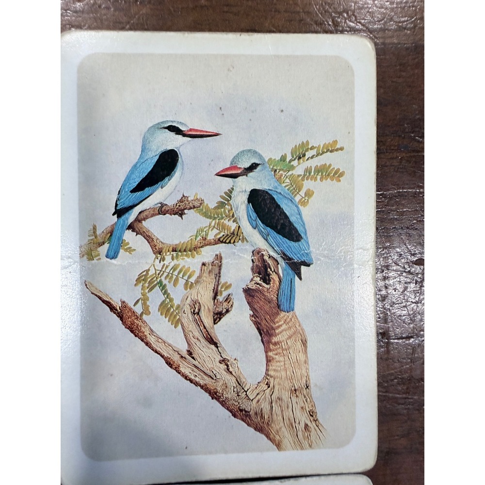 8-Vintage Bird Playing Cards Lot Nature Illustrations for Crafts Junk Journaling